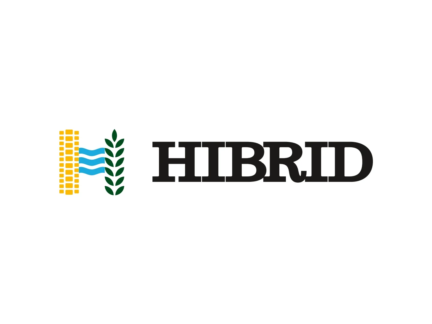 HIBRID